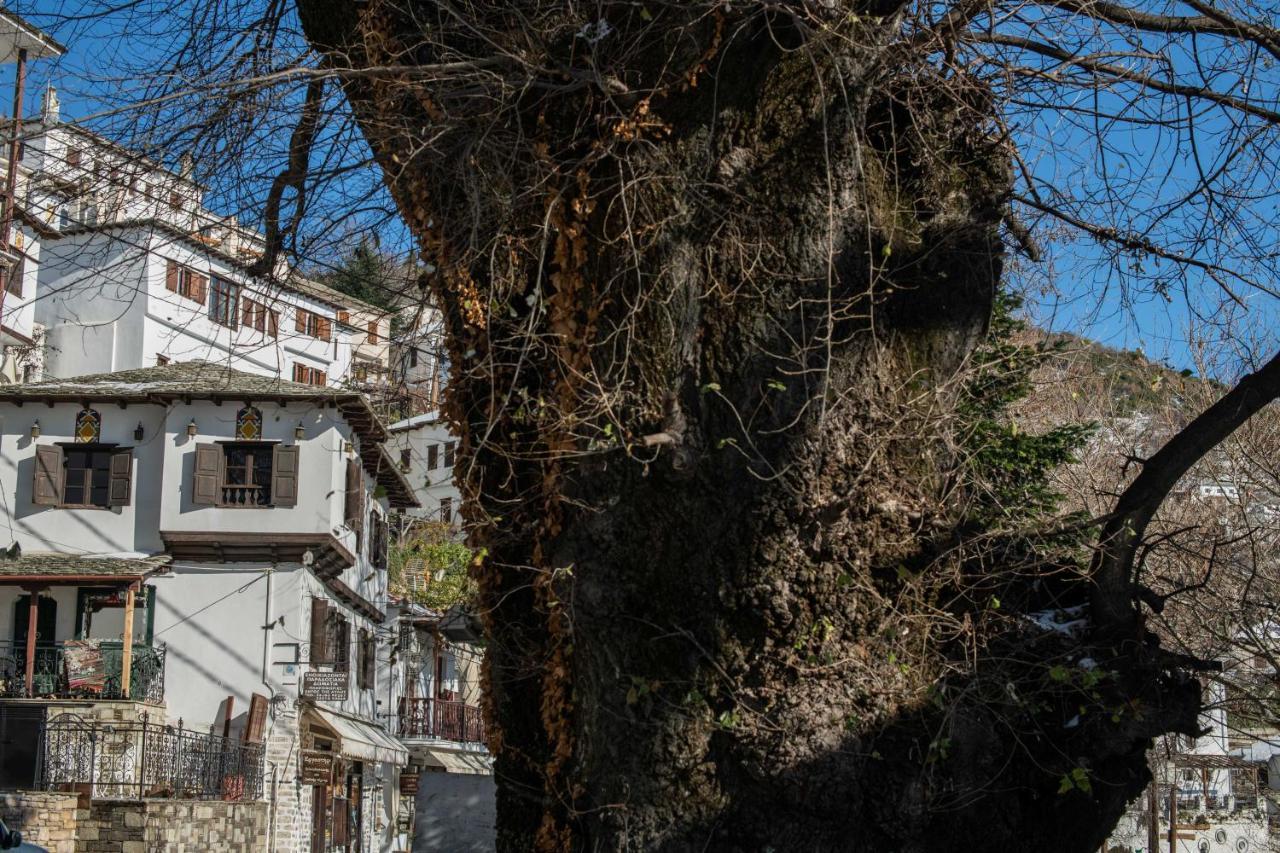 Philos Guesthouse Makrinitsa Exterior photo